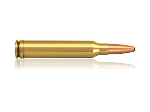 Патрон 300 WM Norma 13 Oryx-1