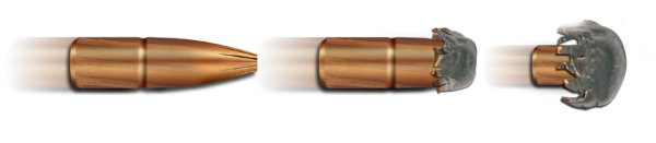csm_Geschoss_3_stadia_plus_c5e7a89de6