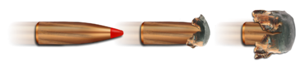 csm_Geschoss_3_stadia_express_98f2442cb5