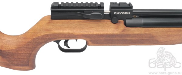 Crosman Benjamin Cayden - 2